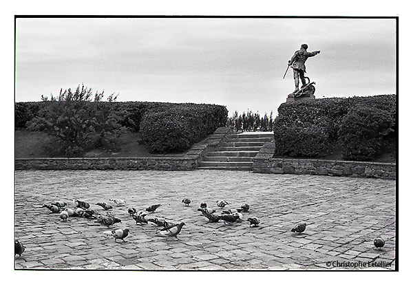 Pigeons picorant quelques graines laiss&eacute;es par les touristes visitant les remparts de Saint-Malo en Bretagne. &copy; 2011 Christophe LETELLIER, tous droits r&eacute;serv&eacute;s. Reproduction interdite sans autorisation pr&eacute;alable de l&rsquo;auteur. Pour revenir &agrave; la galerie, cliquez sur la photo.